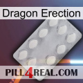 Dragon Erection 16